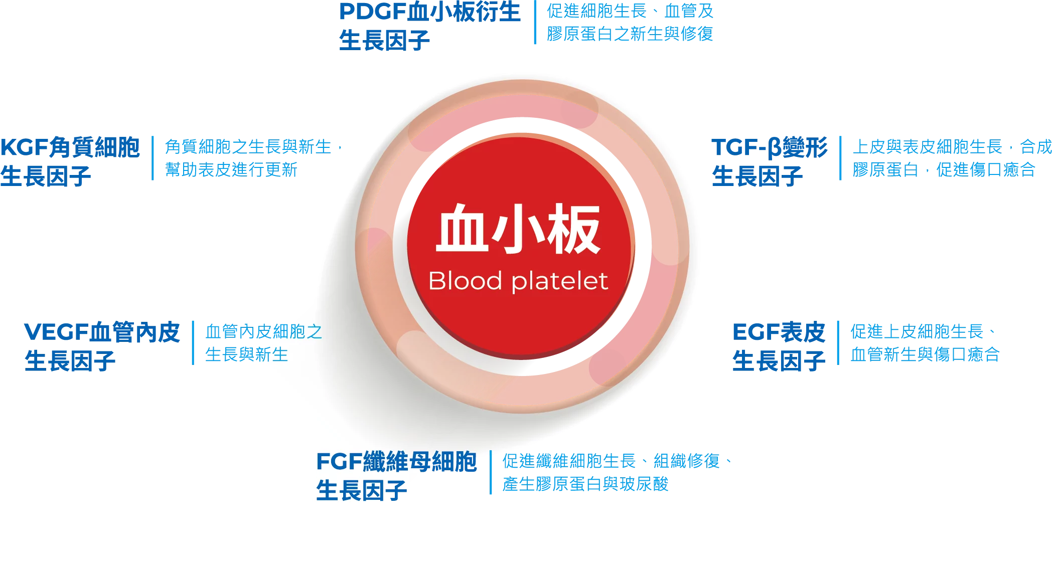 血小板與生長因子